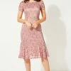 Roman Pink Lace Detail Fit And Flare Dress 2 Roman Pink Lace Detail Fit And Flare Dress -Roman Sales Shop unnamed file 3632