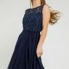 Roman Blue Petite Lace Detail Fit And Flare Dress 2 Roman Blue Petite Lace Detail Fit And Flare Dress -Roman Sales Shop unnamed file 493