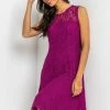 Roman Pink Glitter Lace Fit & Flare Dress