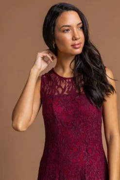 Roman Pink Glitter Lace Fit & Flare Dress 17 Roman Pink Glitter Lace Fit & Flare Dress -Roman Sales Shop unnamed file 824